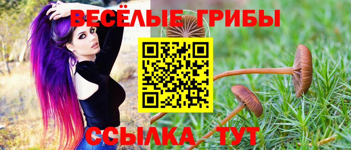Подольск  Галлюциногенные грибы мухоморы  Вход с VPN 